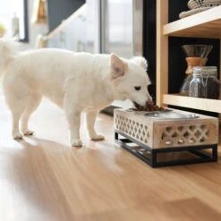 Frisco Premium Wood Elevated Stainless Steel Double Diner Dog & Cat Bowl, 3 Cup 7 Frisco Premium Wood Elevated Stainless Steel Double Diner Dog & Cat Bowl, 3 Cup -Dog Supply Store 331507 PT2. AC SS1800 V1657656894