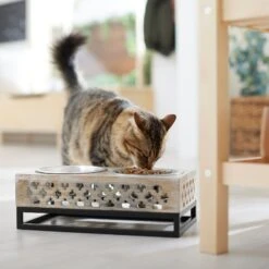 Frisco Premium Wood Elevated Stainless Steel Double Diner Dog & Cat Bowl, 3 Cup 8 Frisco Premium Wood Elevated Stainless Steel Double Diner Dog & Cat Bowl, 3 Cup -Dog Supply Store 331507 PT3. AC SS1800 V1657656894