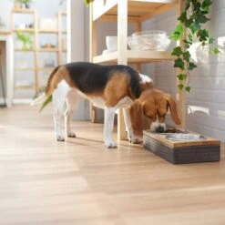 Frisco Premium Stainless Steel Double Diner Dog & Cat Bowl, Black 9 Frisco Premium Stainless Steel Double Diner Dog & Cat Bowl, Black -Dog Supply Store 331532 PT2. AC SS1800 V1657656874