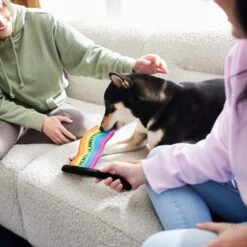 Frisco Pride Flag Flat Squeaky Dog Toy -Dog Supply Store 331640 PT3. AC SS1800 V1647355852