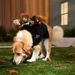 Disney Hocus Pocus Ride-On Sanderson Sisters Dog & Cat Costume -Dog Supply Store 334711 PT8. AC SS1800 V1660069162