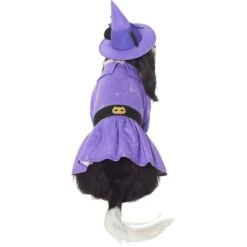 Disney Minnie Mouse Witch Dog & Cat Costume -Dog Supply Store 334755 PT3. AC SS1800 V1657656878