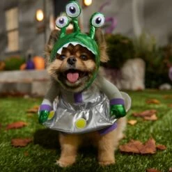 Frisco Front Walking Alien Dog & Cat Costume -Dog Supply Store 334795 PT7. AC SS1800 V1657718966