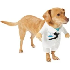 Frisco Front Walking Doctor Dog & Cat Costume 11 Frisco Front Walking Doctor Dog & Cat Costume -Dog Supply Store 334900 PT3. AC SS1800 V1658344549