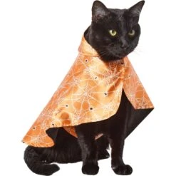 Frisco Spider Webbed Dog & Cat Costume Cape -Dog Supply Store 334972 PT2. AC SS1800 V1658348259