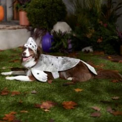 Frisco Seal Dog & Cat Costume 12 Frisco Seal Dog & Cat Costume -Dog Supply Store 334983 PT7. AC SS1800 V1657730462