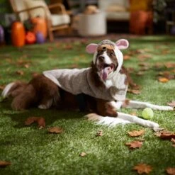 Frisco Hedgehog Dog & Cat Costume -Dog Supply Store 334990 PT7. AC SS1800 V1657732628