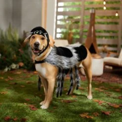 Frisco Spider Dog & Cat Costume -Dog Supply Store 335017 PT7. AC SS1800 V1657834853