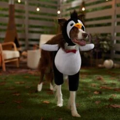 Frisco Front Walking Penguin Dog & Cat Costume -Dog Supply Store 335062 PT7. AC SS1800 V1657718971