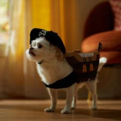 Frisco Pirate Ship Dog & Cat Costume -Dog Supply Store 335078 PT7. AC SS1800 V1657656881
