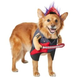 Frisco Front Walking Punk Rocker Dog & Cat Costume -Dog Supply Store 335087 PT3. AC SS1800 V1658346323