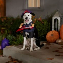 Frisco Front Walking Punk Rocker Dog & Cat Costume -Dog Supply Store 335087 PT7. AC SS1800 V1657732627