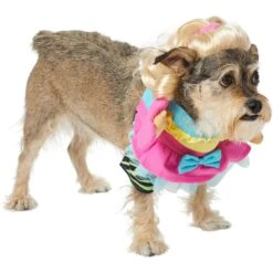 Frisco Front Walking Workout Girl Dog & Cat Costume -Dog Supply Store 335111 PT3. AC SS1800 V1659027675