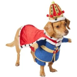 Frisco Front Walking Royal King Dog & Cat Costume -Dog Supply Store 335127 PT3. AC SS1800 V1658346228