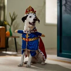 Frisco Front Walking Royal King Dog & Cat Costume -Dog Supply Store 335127 PT7. AC SS1800 V1659037728