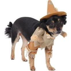 Frisco Front Walking Scarecrow Dog & Cat Costume -Dog Supply Store 335135 PT3. AC SS1800 V1658349680