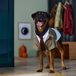 Marvel 's Loki Varient Lightweight Dog & Cat Jacket -Dog Supply Store 335269 PT8. AC SS1800 V1657656950