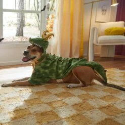 Marvel 's Loki Alligator Dog & Cat Costume 11 Marvel 's Loki Alligator Dog & Cat Costume -Dog Supply Store 335282 PT8. AC SS1800 V1660059836