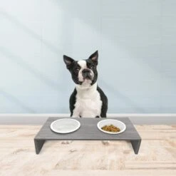 Cosmo Furbabies Double Dog & Cat Diner, Gray -Dog Supply Store 341993 PT5. AC SS1800 V1636063012