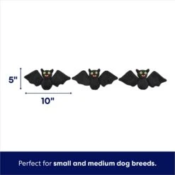 Frisco Halloween Haunted House Hide & Seek Puzzle Plush Squeaky Dog Toy 8 Frisco Halloween Haunted House Hide & Seek Puzzle Plush Squeaky Dog Toy -Dog Supply Store 344136 PT2. AC SS1800 V1690911191