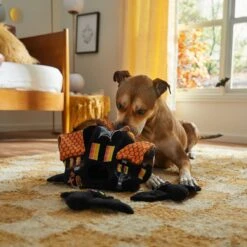Frisco Halloween Haunted House Hide & Seek Puzzle Plush Squeaky Dog Toy 9 Frisco Halloween Haunted House Hide & Seek Puzzle Plush Squeaky Dog Toy -Dog Supply Store 344136 PT3. AC SS1800 V1657657042