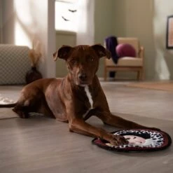 Disney Villains Cruella De Vil Flat Plush Squeaky Dog Toy -Dog Supply Store 344469 PT3. AC SS1800 V1657657086