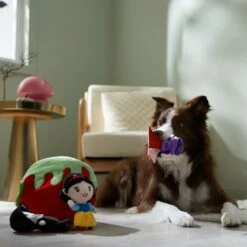 Disney Villains Snow White & The Evil Queen Hide & Seek Puzzle Plush Squeaky Dog Toy 5 Disney Villains Snow White & The Evil Queen Hide & Seek Puzzle Plush Squeaky Dog Toy -Dog Supply Store 344481 PT3. AC SS1800 V1657657087