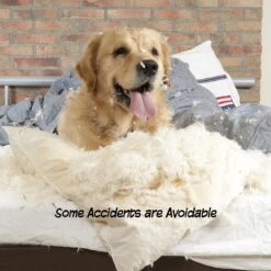 Pet Adobe Freestanding Wooden Folding Dog Gate -Dog Supply Store 345108 PT3. AC SS1800 V1637280817