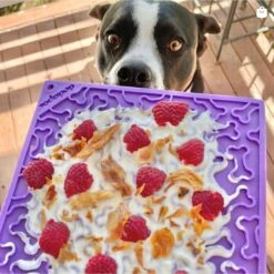 SodaPup Emat Bones Dog Lick Mat -Dog Supply Store 346969 PT3. AC SS1800 V1638305499