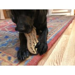 SodaPup Nylon Peanut Chew & Enrichment Dog Toy -Dog Supply Store 347072 PT7. AC SS1800 V1638402707