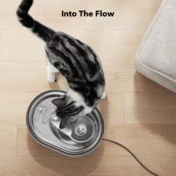 Petlibro Stainless Steel Dog & Cat Water Fountain, 2-L -Dog Supply Store 352550 PT8. AC SS1800 V1689084885