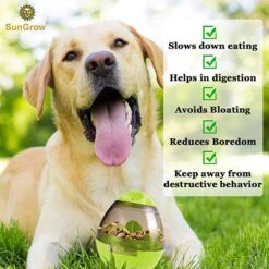 SunGrow Boredom & Separation Anxiety Relief Stimulation Treat Dispensing Cat & Dog Toy 8 SunGrow Boredom & Separation Anxiety Relief Stimulation Treat Dispensing Cat & Dog Toy -Dog Supply Store 352929 PT2. AC SS1800 V1639435002