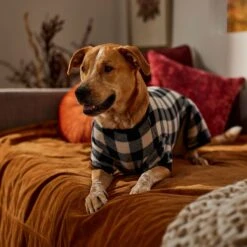 Frisco Plaid Dog & Cat Fleece Pajamas 10 Frisco Plaid Dog & Cat Fleece Pajamas -Dog Supply Store 353755 PT6. AC SS1800 V1660749967