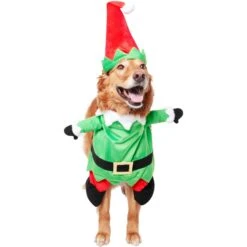 Frisco Front Walking Elf Dog & Cat Costume -Dog Supply Store 357956 PT3. AC SS1800 V1660760416