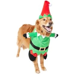 Frisco Front Walking Elf Dog & Cat Costume -Dog Supply Store 357956 PT4. AC SS1800 V1660757458