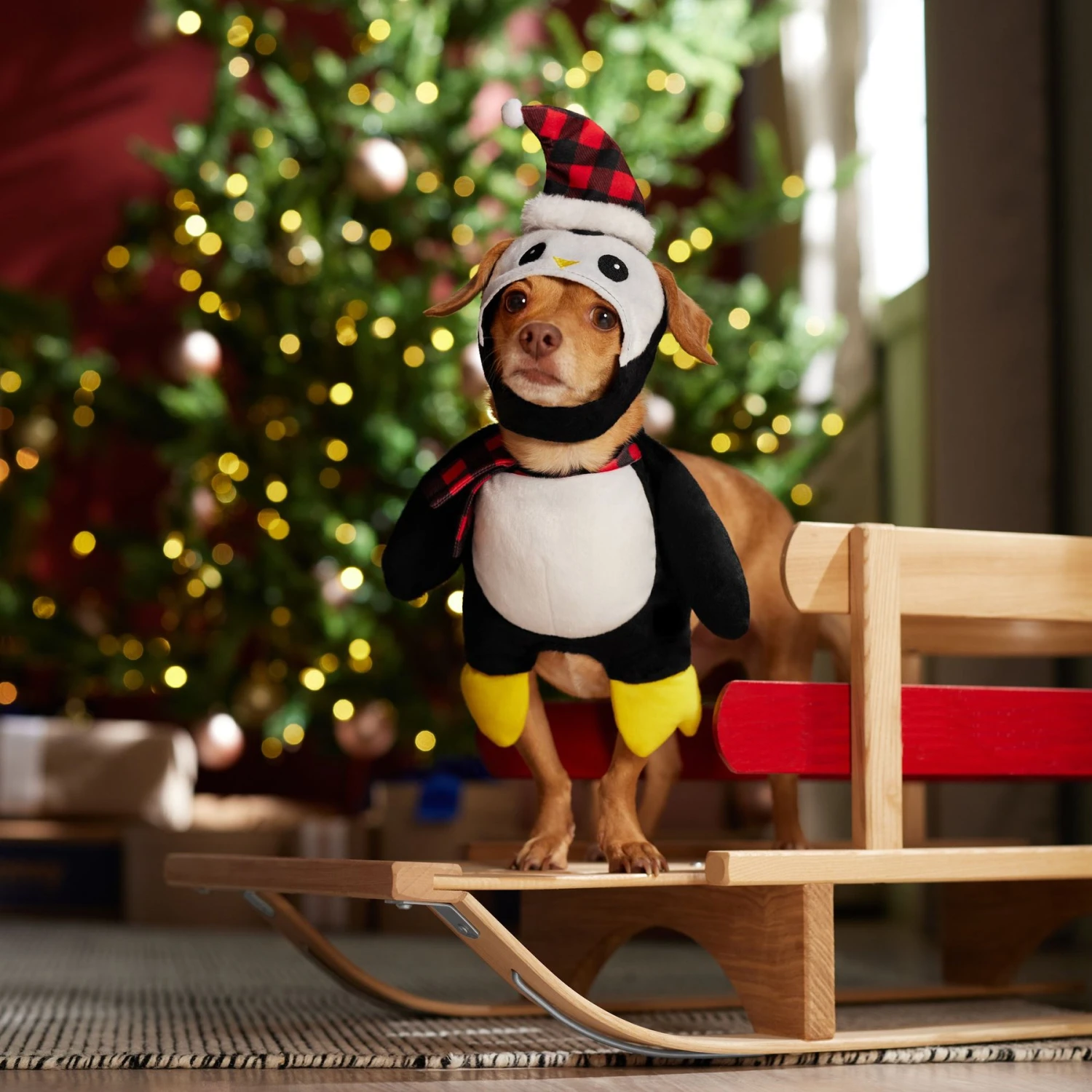 Frisco Front Walking Holiday Penguin Dog & Cat Costume 8 Frisco Front Walking Holiday Penguin Dog & Cat Costume - Image 8