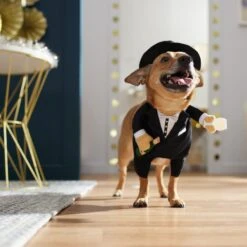 Frisco Front Walking New Years Tuxedo Dog & Cat Costume 16 Frisco Front Walking New Years Tuxedo Dog & Cat Costume -Dog Supply Store 358028 PT7. AC SS1800 V1661799888