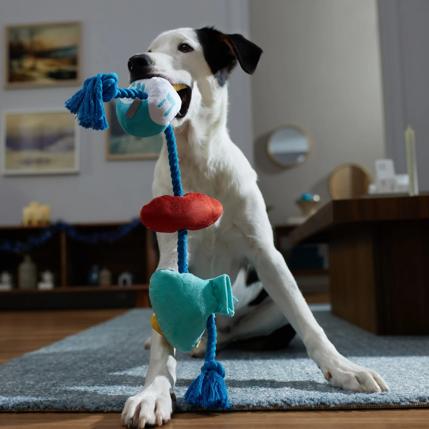 Frisco Hanukkah Celebration Plush With Rope Squeaky Dog Toy 3 Frisco Hanukkah Celebration Plush With Rope Squeaky Dog Toy - Image 3