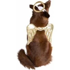 Pet Krewe Angel Wings Gold Dog Costume, One Size -Dog Supply Store 361134 PT2. AC SS1800 V1648073896