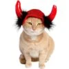 Pet Krewe Cat Devil Red Hat Dog Costume, One Size