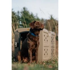 Dakota 283 G3 Framed Door Dog Kennel 6 Dakota 283 G3 Framed Door Dog Kennel -Dog Supply Store 361542 PT3. AC SS1800 V1652768192