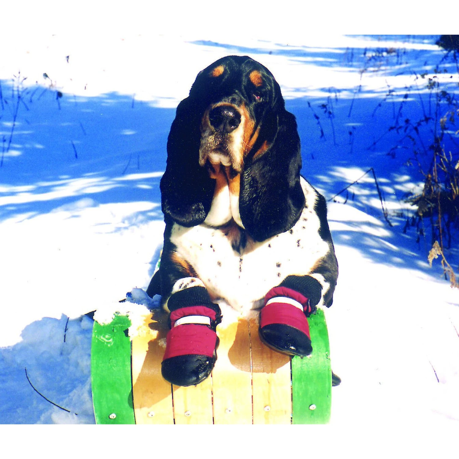 Muttluks Original Fleece-Lined Winter Dog Boots, 4 Count 3 Muttluks Original Fleece-Lined Winter Dog Boots, 4 Count - Image 3