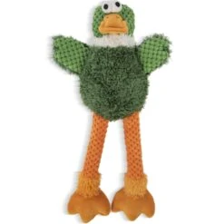 GoDog Checkers Skinny Duck Squeaker Dog Toy, Green -Dog Supply Store 362852 PT3. AC SS1800 V1642648599