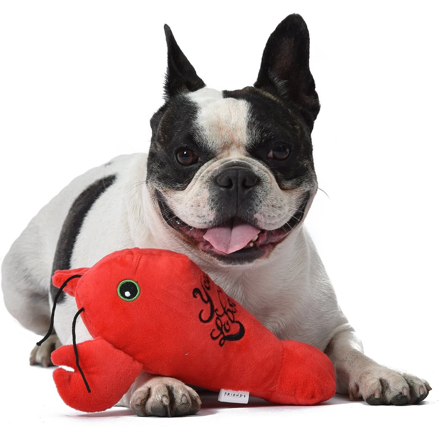 Fetch For Pets Friends Lobster Plush Squeaky Dog Toy 4 Fetch For Pets Friends Lobster Plush Squeaky Dog Toy - Image 4
