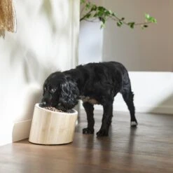 Frisco Elevated Slanted Bamboo Melamine Non-Skid Dog Bowl With Bamboo Stand -Dog Supply Store 363387 PT2. AC SS1800 V1657657267