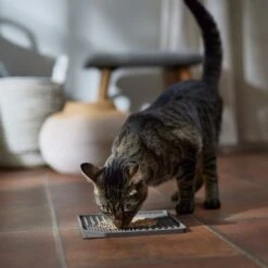 Frisco Non-skid Square Silicone Dog & Cat Lick Mat -Dog Supply Store 363402 PT3. AC SS1800 V1665170734