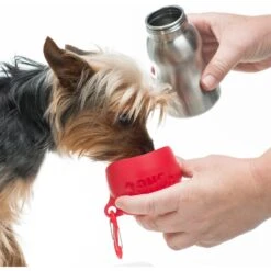 KONG H2O Dog Stainless Steel Bottle 6 KONG H2O Dog Stainless Steel Bottle -Dog Supply Store 364070 PT2. AC SS1800 V1643837546