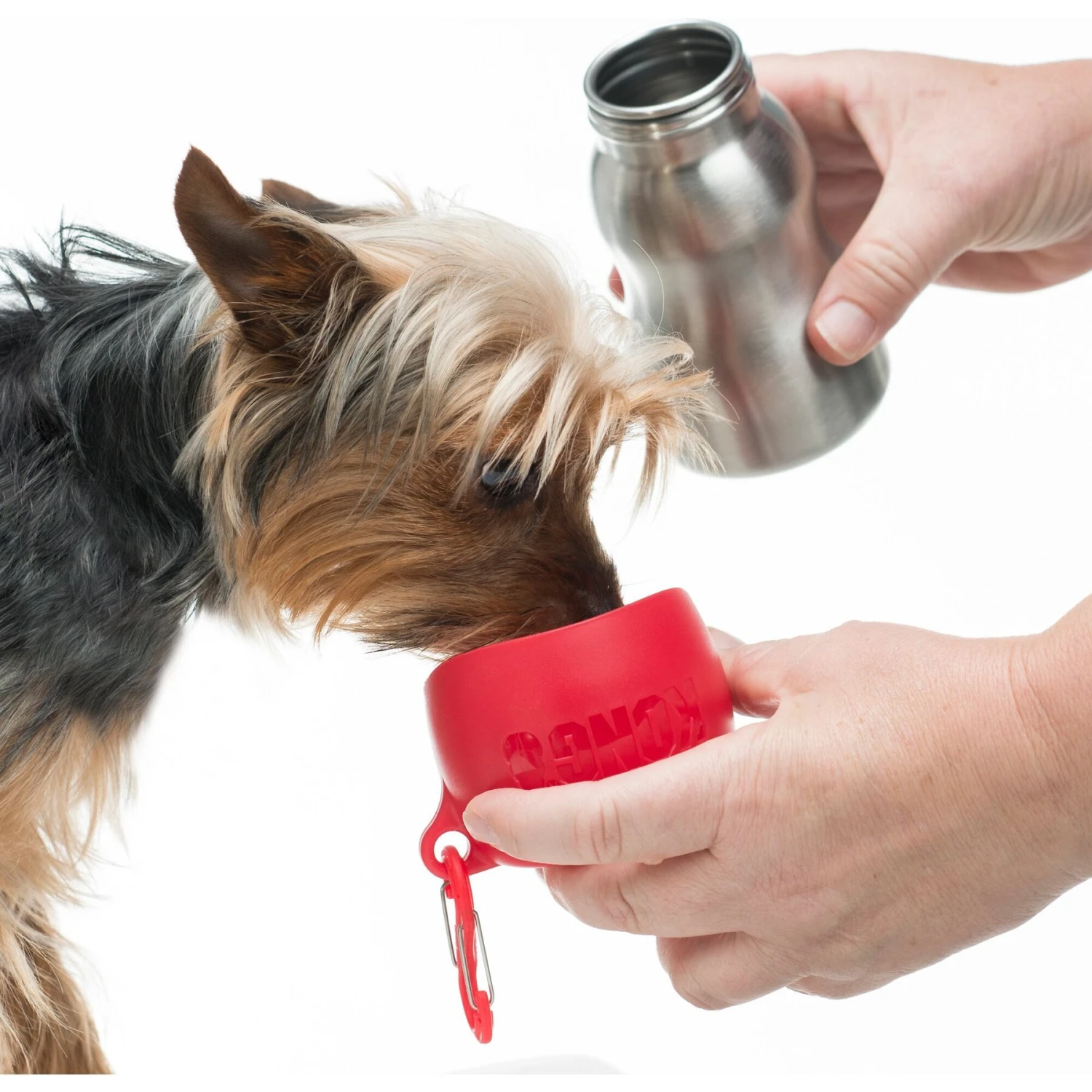 KONG H2O Dog Stainless Steel Bottle 3 KONG H2O Dog Stainless Steel Bottle - Image 3
