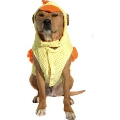 Royal Animals Chicken Dog Costume -Dog Supply Store 364474 PT2. AC SS1800 V1645643794