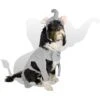 Royal Animals Elephant Dog Costume